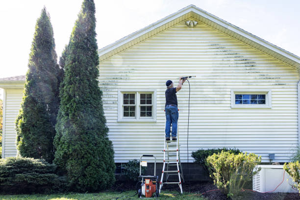 Trusted Taylors Falls, MN Pressure Washing Services Experts